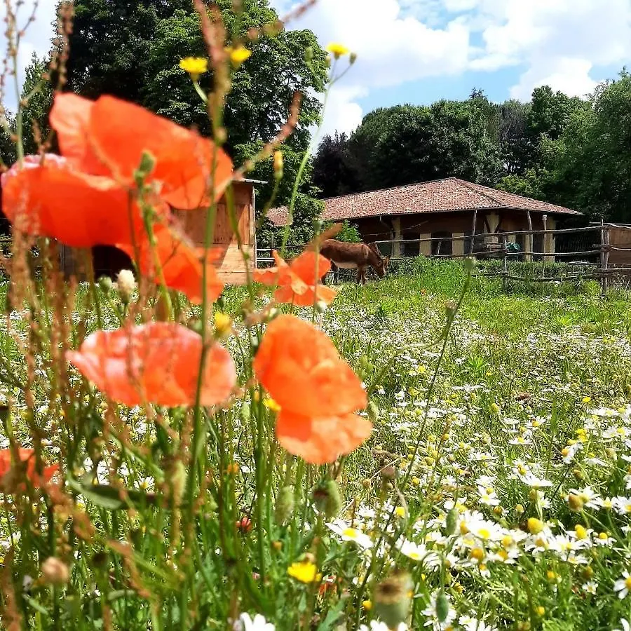 Bed & Breakfast Tommy Vitello Camere Cassano Magnago Italy